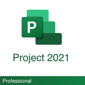 Project Professional 2021
