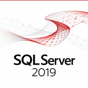 SQL Server 2019 Standard License Key