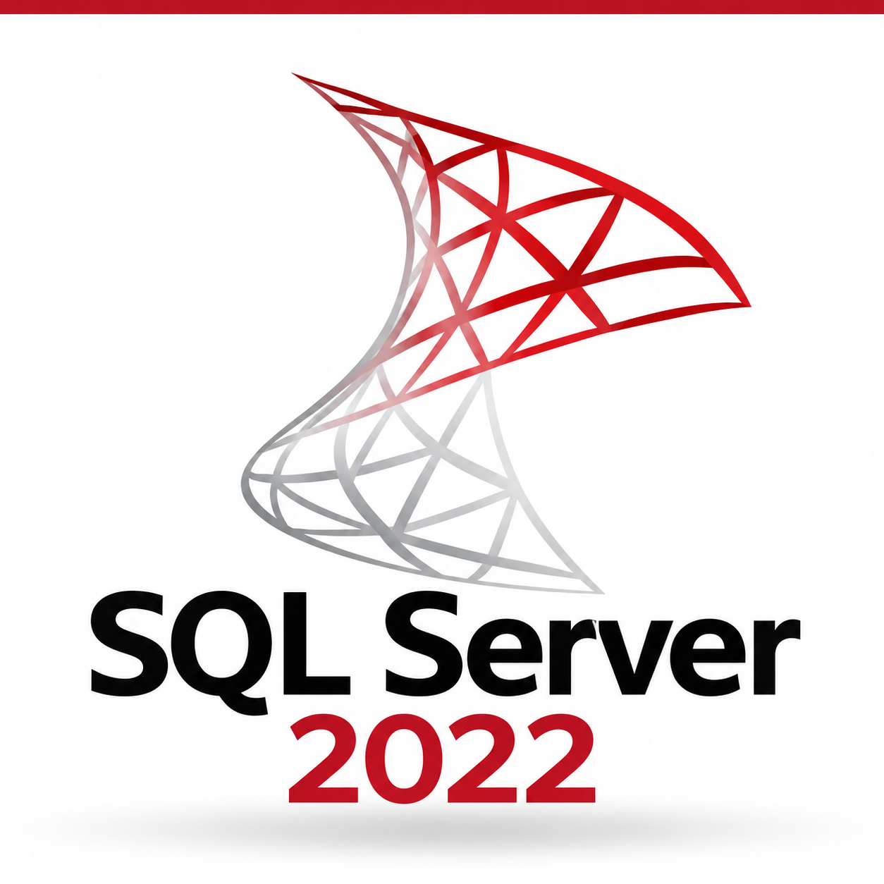 SQL Server 2022 Standard License Key
